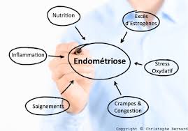 L&rsquo;endométriose, comprendre pour soulager